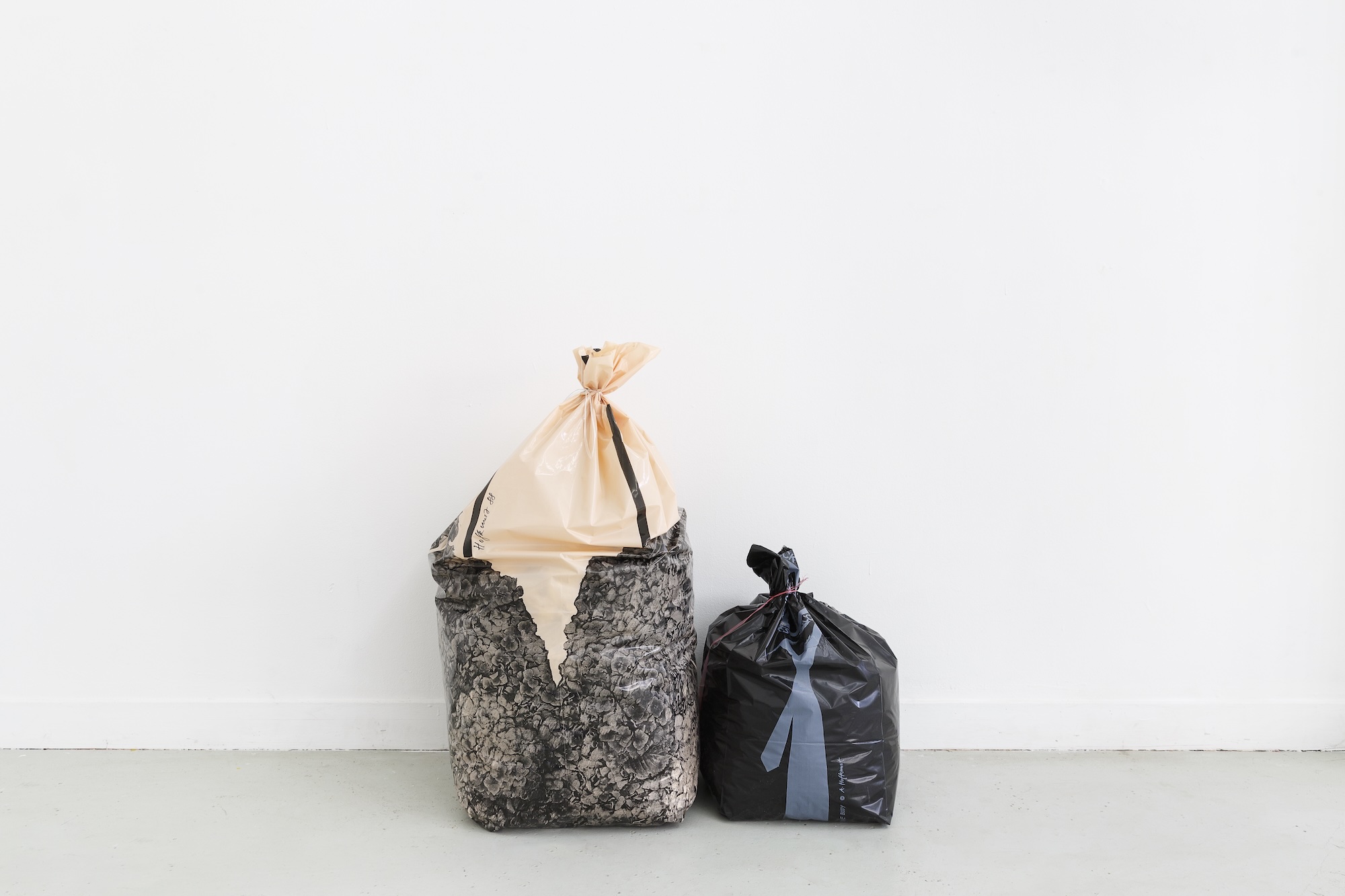 Alfred Hofkunst : Garbage Bodies - Les Bains-Douches, Alençon