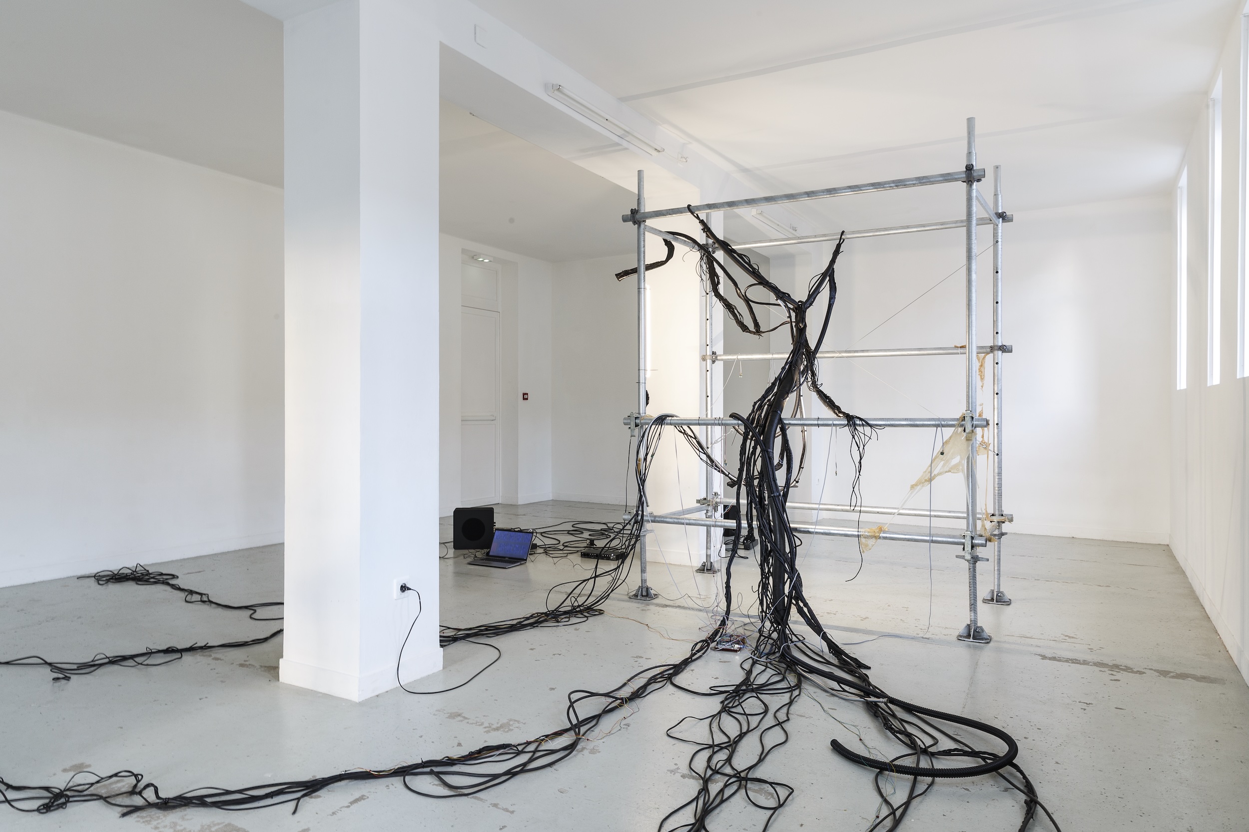 Data Ich - Les Bains-Douches, Alençon