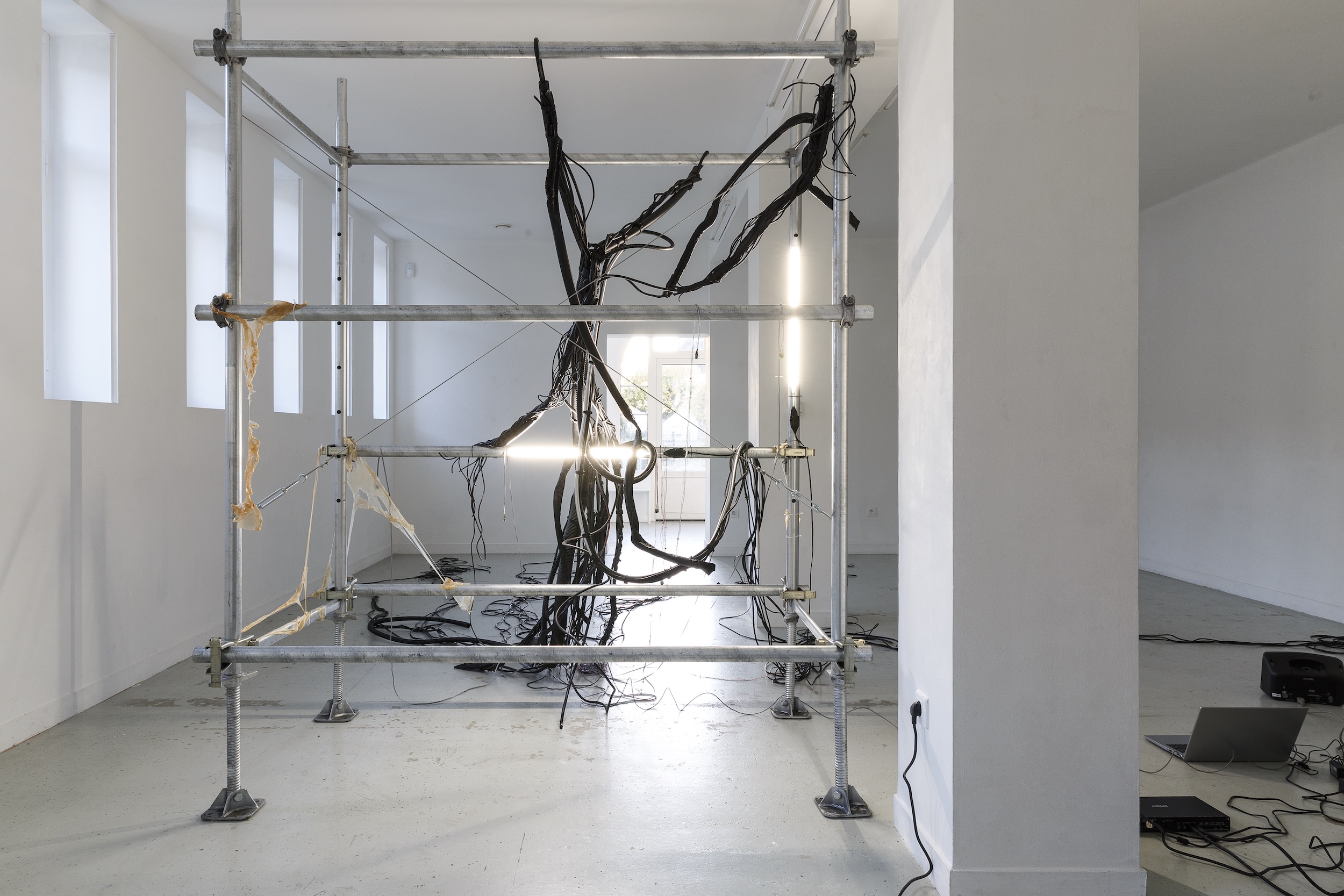 Data Ich - Les Bains-Douches, Alençon