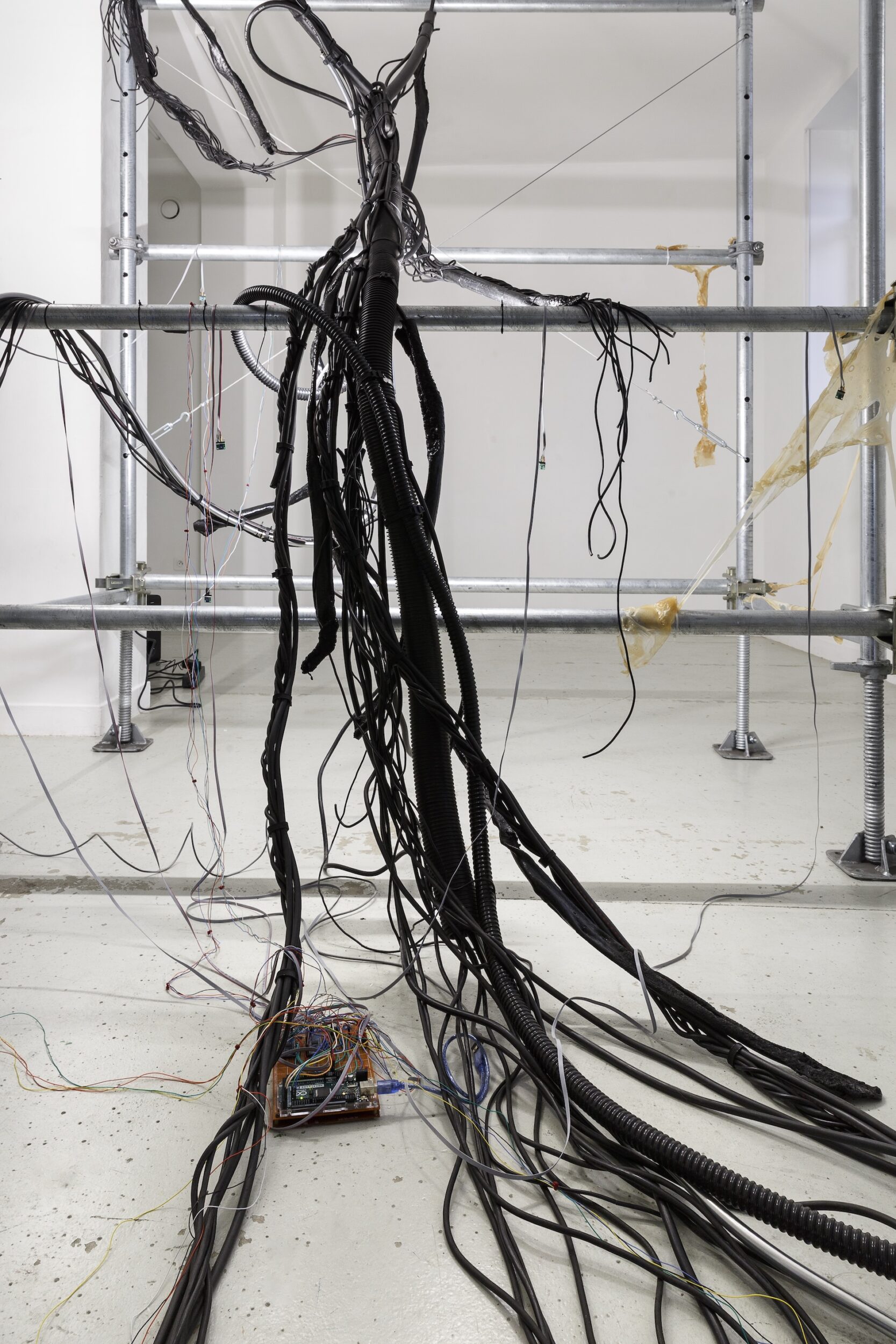 Data Ich - Les Bains-Douches, Alençon