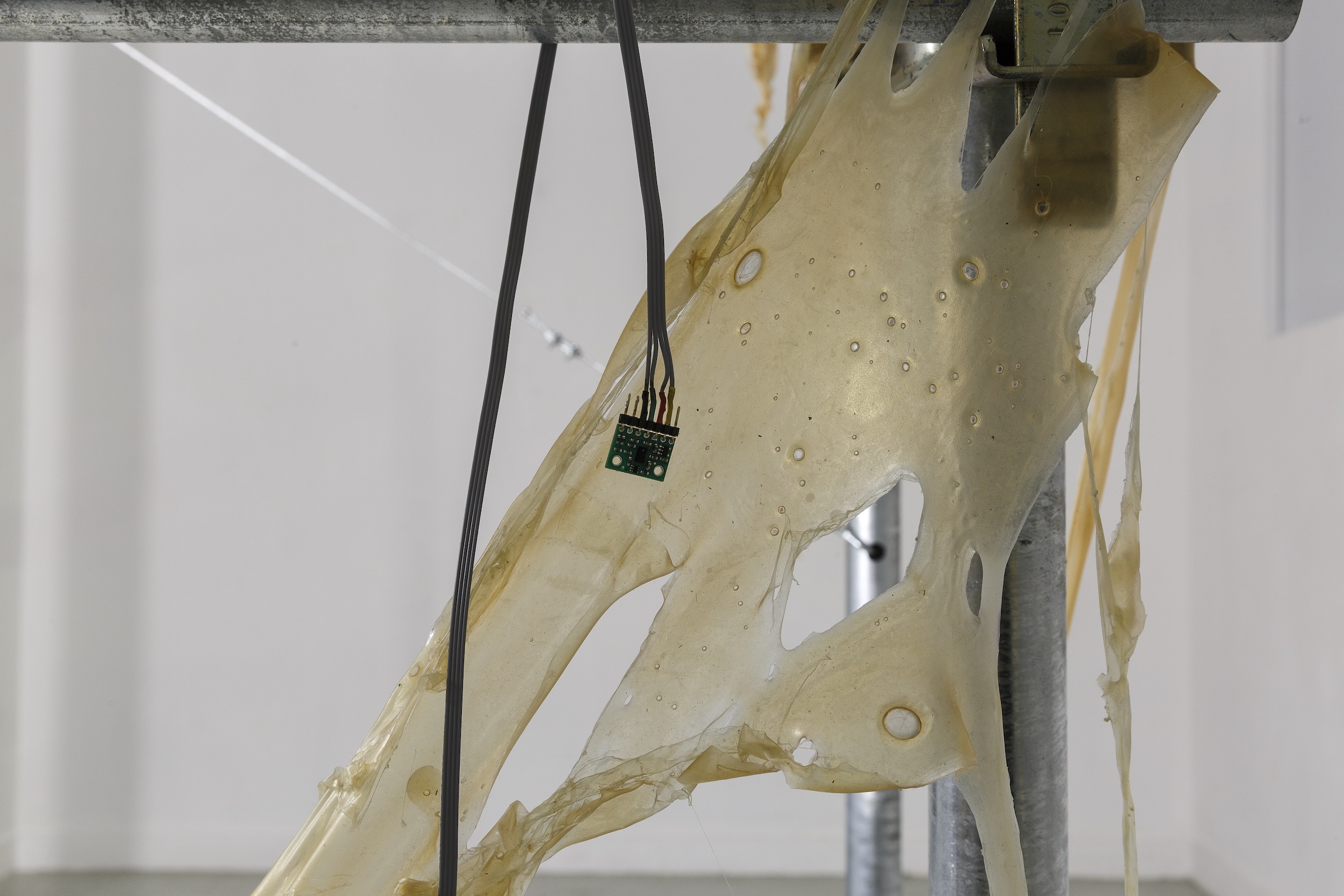 Data Ich - Les Bains-Douches, Alençon