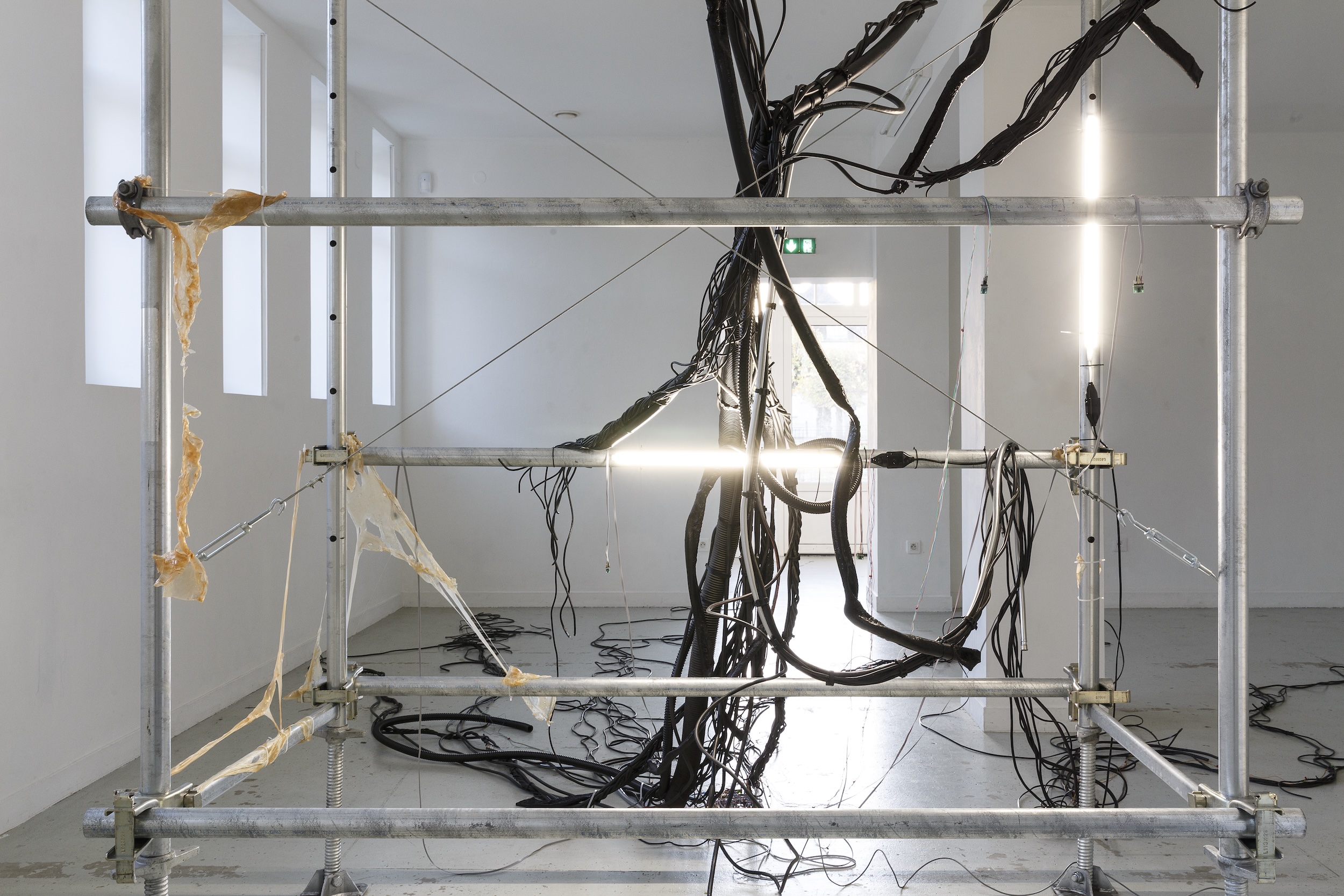 Data Ich - Les Bains-Douches, Alençon