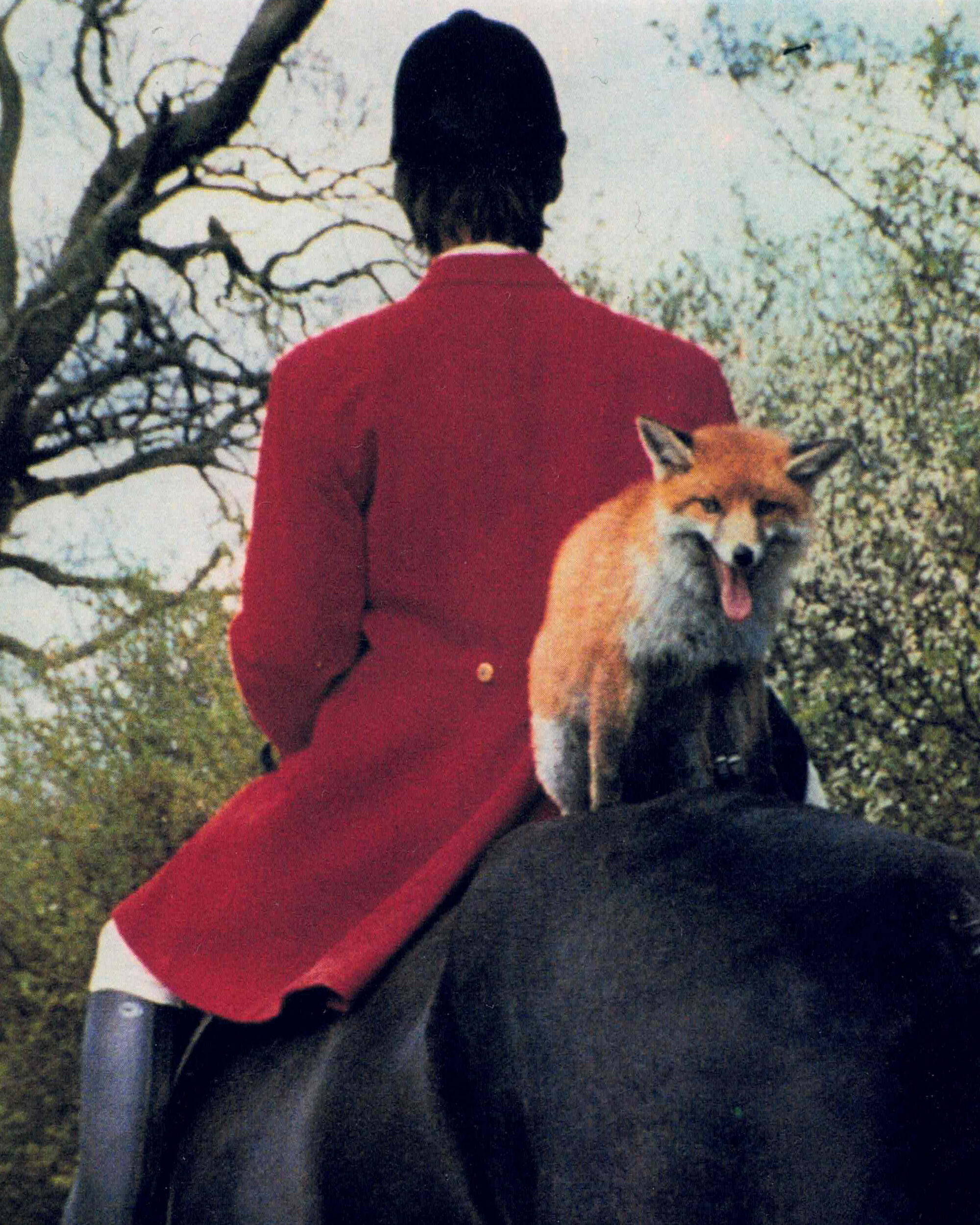 Misty the Fox - Les Bains-Douches, Alençon