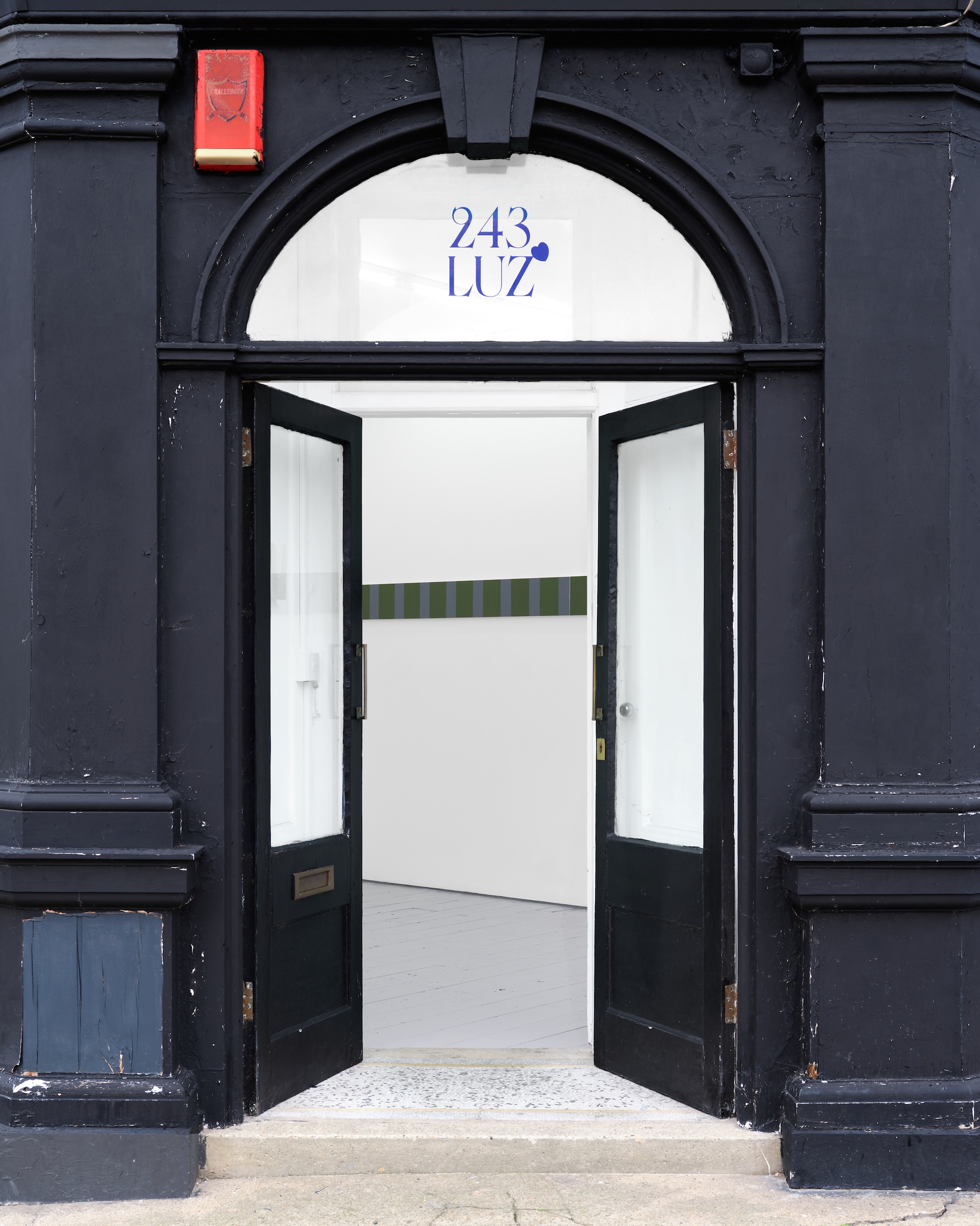 Misty the Fox - Les Bains-Douches, Alençon